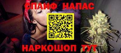 стаф Кулебаки