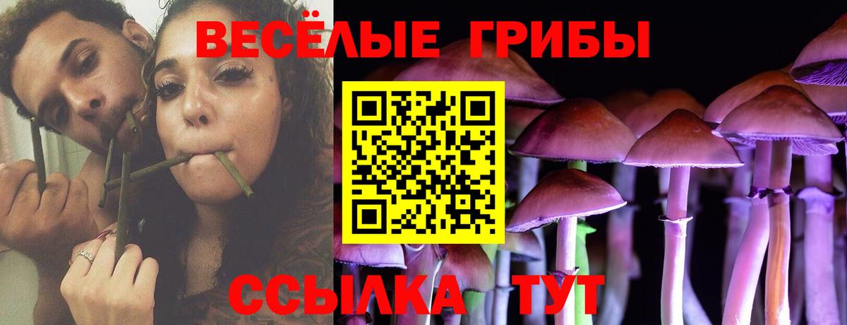 Златоуст  Псилоцибиновые грибы Magic Shrooms  как найти   Вход с VPN 